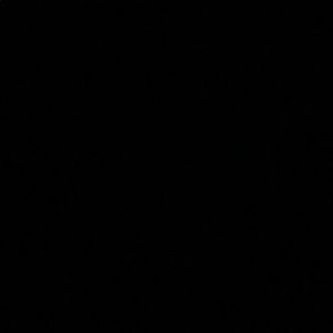 Meet your Posher, Ashia